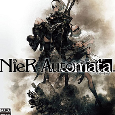 Nier small